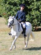 Image 86 in SOUTH NORFOLK PONY CLUB. 28 JULY 2018. FROM THE SHOWING CLASSES