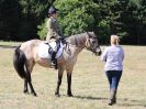 Image 87 in SOUTH NORFOLK PONY CLUB. 28 JULY 2018. FROM THE SHOWING CLASSES