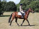 Image 90 in SOUTH NORFOLK PONY CLUB. 28 JULY 2018. FROM THE SHOWING CLASSES