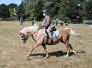 Image 93 in SOUTH NORFOLK PONY CLUB. 28 JULY 2018. FROM THE SHOWING CLASSES