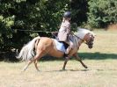 Image 94 in SOUTH NORFOLK PONY CLUB. 28 JULY 2018. FROM THE SHOWING CLASSES