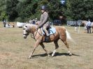 Image 95 in SOUTH NORFOLK PONY CLUB. 28 JULY 2018. FROM THE SHOWING CLASSES