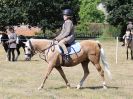 Image 96 in SOUTH NORFOLK PONY CLUB. 28 JULY 2018. FROM THE SHOWING CLASSES