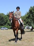 Image 97 in SOUTH NORFOLK PONY CLUB. 28 JULY 2018. FROM THE SHOWING CLASSES