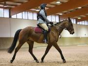 OPTIMUM EVENT MANAGEMENT. DRESSAGE AT MARTLEY HALL STUD. 25 NOV. 2018