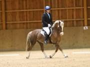 Image 101 in OPTIMUM EVENT MANAGEMENT. DRESSAGE AT MARTLEY HALL STUD. 25 NOV. 2018