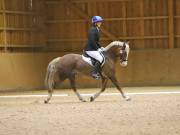 Image 102 in OPTIMUM EVENT MANAGEMENT. DRESSAGE AT MARTLEY HALL STUD. 25 NOV. 2018