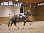 Image 103 in OPTIMUM EVENT MANAGEMENT. DRESSAGE AT MARTLEY HALL STUD. 25 NOV. 2018