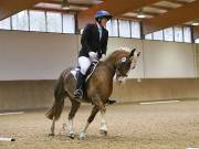 Image 104 in OPTIMUM EVENT MANAGEMENT. DRESSAGE AT MARTLEY HALL STUD. 25 NOV. 2018