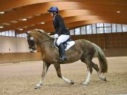 Image 105 in OPTIMUM EVENT MANAGEMENT. DRESSAGE AT MARTLEY HALL STUD. 25 NOV. 2018