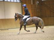 Image 107 in OPTIMUM EVENT MANAGEMENT. DRESSAGE AT MARTLEY HALL STUD. 25 NOV. 2018