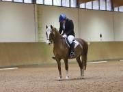 Image 108 in OPTIMUM EVENT MANAGEMENT. DRESSAGE AT MARTLEY HALL STUD. 25 NOV. 2018