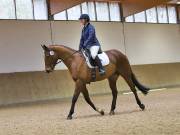 Image 109 in OPTIMUM EVENT MANAGEMENT. DRESSAGE AT MARTLEY HALL STUD. 25 NOV. 2018