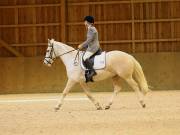 Image 11 in OPTIMUM EVENT MANAGEMENT. DRESSAGE AT MARTLEY HALL STUD. 25 NOV. 2018