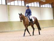 Image 110 in OPTIMUM EVENT MANAGEMENT. DRESSAGE AT MARTLEY HALL STUD. 25 NOV. 2018