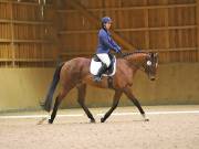 Image 111 in OPTIMUM EVENT MANAGEMENT. DRESSAGE AT MARTLEY HALL STUD. 25 NOV. 2018