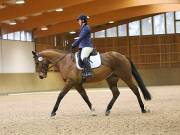 Image 112 in OPTIMUM EVENT MANAGEMENT. DRESSAGE AT MARTLEY HALL STUD. 25 NOV. 2018