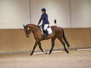 Image 113 in OPTIMUM EVENT MANAGEMENT. DRESSAGE AT MARTLEY HALL STUD. 25 NOV. 2018