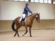 Image 115 in OPTIMUM EVENT MANAGEMENT. DRESSAGE AT MARTLEY HALL STUD. 25 NOV. 2018