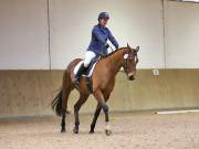 Image 116 in OPTIMUM EVENT MANAGEMENT. DRESSAGE AT MARTLEY HALL STUD. 25 NOV. 2018