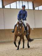 Image 117 in OPTIMUM EVENT MANAGEMENT. DRESSAGE AT MARTLEY HALL STUD. 25 NOV. 2018