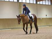 Image 122 in OPTIMUM EVENT MANAGEMENT. DRESSAGE AT MARTLEY HALL STUD. 25 NOV. 2018