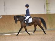 Image 123 in OPTIMUM EVENT MANAGEMENT. DRESSAGE AT MARTLEY HALL STUD. 25 NOV. 2018