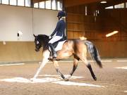 Image 125 in OPTIMUM EVENT MANAGEMENT. DRESSAGE AT MARTLEY HALL STUD. 25 NOV. 2018