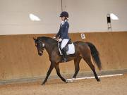 Image 126 in OPTIMUM EVENT MANAGEMENT. DRESSAGE AT MARTLEY HALL STUD. 25 NOV. 2018