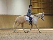 Image 13 in OPTIMUM EVENT MANAGEMENT. DRESSAGE AT MARTLEY HALL STUD. 25 NOV. 2018