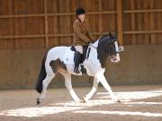 Image 133 in OPTIMUM EVENT MANAGEMENT. DRESSAGE AT MARTLEY HALL STUD. 25 NOV. 2018