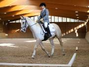 Image 135 in OPTIMUM EVENT MANAGEMENT. DRESSAGE AT MARTLEY HALL STUD. 25 NOV. 2018