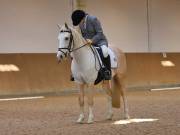 Image 136 in OPTIMUM EVENT MANAGEMENT. DRESSAGE AT MARTLEY HALL STUD. 25 NOV. 2018