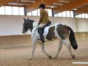 Image 137 in OPTIMUM EVENT MANAGEMENT. DRESSAGE AT MARTLEY HALL STUD. 25 NOV. 2018