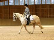 Image 14 in OPTIMUM EVENT MANAGEMENT. DRESSAGE AT MARTLEY HALL STUD. 25 NOV. 2018