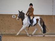 Image 141 in OPTIMUM EVENT MANAGEMENT. DRESSAGE AT MARTLEY HALL STUD. 25 NOV. 2018