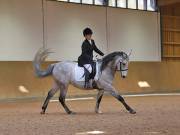 Image 144 in OPTIMUM EVENT MANAGEMENT. DRESSAGE AT MARTLEY HALL STUD. 25 NOV. 2018