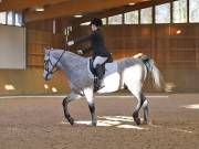 Image 145 in OPTIMUM EVENT MANAGEMENT. DRESSAGE AT MARTLEY HALL STUD. 25 NOV. 2018