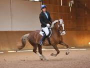 Image 148 in OPTIMUM EVENT MANAGEMENT. DRESSAGE AT MARTLEY HALL STUD. 25 NOV. 2018