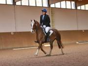 Image 149 in OPTIMUM EVENT MANAGEMENT. DRESSAGE AT MARTLEY HALL STUD. 25 NOV. 2018