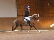 Image 150 in OPTIMUM EVENT MANAGEMENT. DRESSAGE AT MARTLEY HALL STUD. 25 NOV. 2018