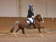 Image 152 in OPTIMUM EVENT MANAGEMENT. DRESSAGE AT MARTLEY HALL STUD. 25 NOV. 2018