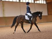 Image 153 in OPTIMUM EVENT MANAGEMENT. DRESSAGE AT MARTLEY HALL STUD. 25 NOV. 2018