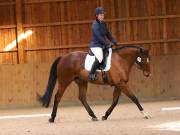 Image 154 in OPTIMUM EVENT MANAGEMENT. DRESSAGE AT MARTLEY HALL STUD. 25 NOV. 2018