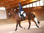 Image 155 in OPTIMUM EVENT MANAGEMENT. DRESSAGE AT MARTLEY HALL STUD. 25 NOV. 2018