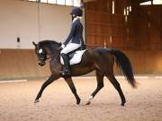 Image 158 in OPTIMUM EVENT MANAGEMENT. DRESSAGE AT MARTLEY HALL STUD. 25 NOV. 2018