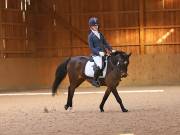 Image 159 in OPTIMUM EVENT MANAGEMENT. DRESSAGE AT MARTLEY HALL STUD. 25 NOV. 2018