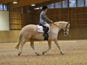 Image 16 in OPTIMUM EVENT MANAGEMENT. DRESSAGE AT MARTLEY HALL STUD. 25 NOV. 2018