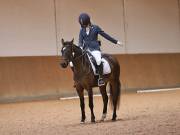 Image 160 in OPTIMUM EVENT MANAGEMENT. DRESSAGE AT MARTLEY HALL STUD. 25 NOV. 2018