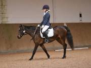 Image 161 in OPTIMUM EVENT MANAGEMENT. DRESSAGE AT MARTLEY HALL STUD. 25 NOV. 2018